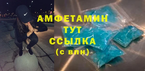 мдпв Ельня