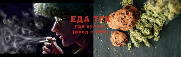 мдпв Ельня