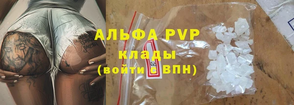 PSILOCYBIN Елабуга