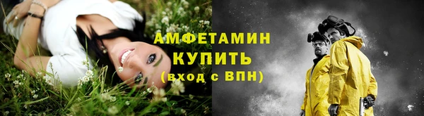 PSILOCYBIN Елабуга