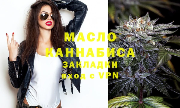 мдпв Ельня