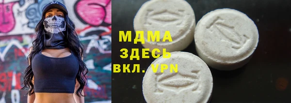 мдпв Ельня