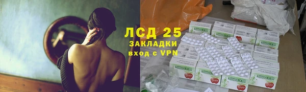 мдпв Ельня