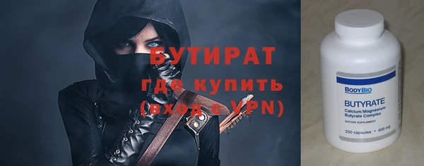 мдпв Ельня