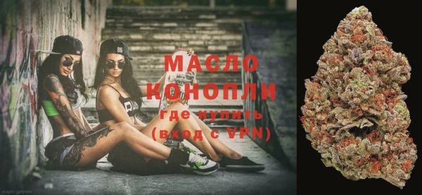 мдпв Ельня
