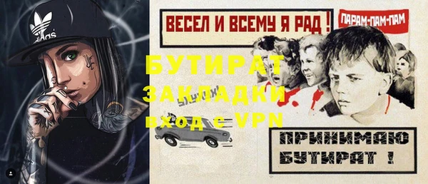 мдпв Ельня