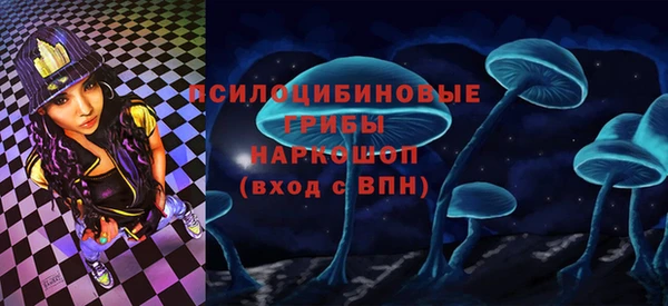 мдпв Ельня