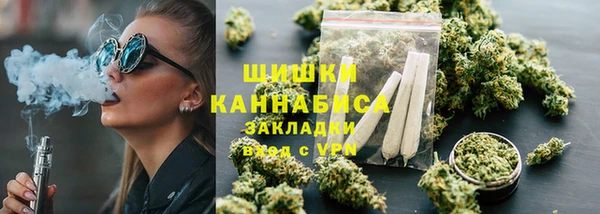 мдпв Ельня