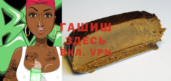 мдпв Ельня