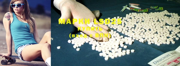 PSILOCYBIN Елабуга