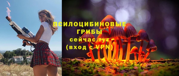 мдпв Ельня