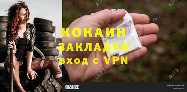 PSILOCYBIN Елабуга