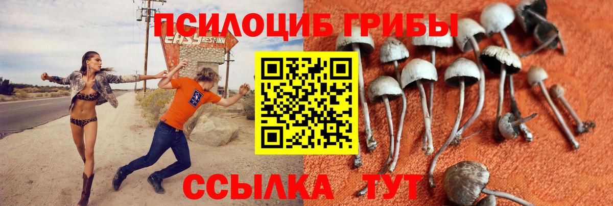 Рузаевка  Каннабис  Мефедрон кристаллы  NBOMe  Вход с VPN  Кокаин  ЭКСТАЗИ  Гашиш 