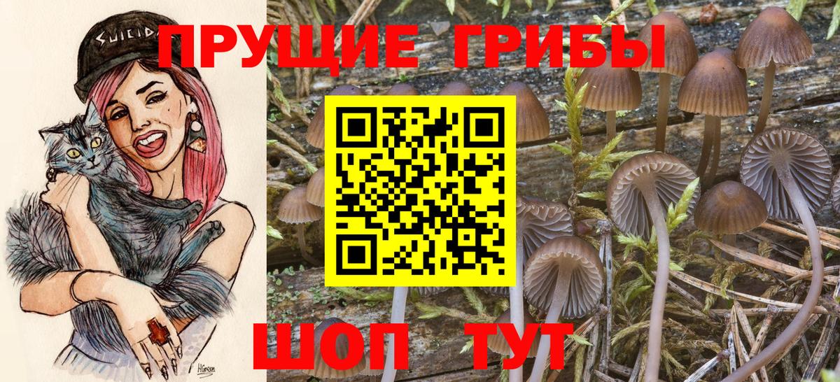 Галлюциногенные грибы мухоморы Рузаевка