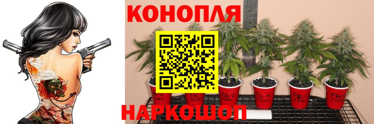 Марихуана ГИДРОПОН Рузаевка